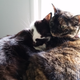 Calvin using his sister as a pillow, maybe a year ago.
